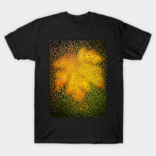 Acer Leaf Seen Through Rain-covered Window T-Shirt